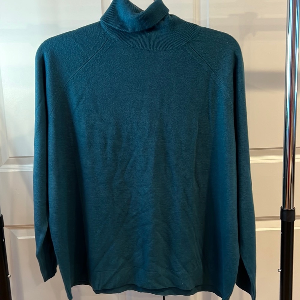 Karen Scott Blue and Green Cowl Turtleneck Sweater